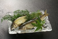長良川の天然鮎を鮎のシーズンには、ご賞味できます。
