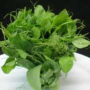 【旬の中国野菜】
5月～10月が旬の野菜
・空心菜（くうしんさい）
※料理：「にんにく炒め」、「ショウガ炒め」
5月～7月が旬の野菜
・ヒンチョイ
※料理：「スープ」
10月～4月が旬の野菜
・芥蘭（かいらん）
・豆苗（とうみょう）
※料理：「にんにく炒め」、「ショウガ炒め」
一年中旬の野菜
・韮黄（きにら）
※料理：「玉子炒め」、「牛肉炒め」

※入荷具合によってお出しできないメニューもございます、ご了承ください。