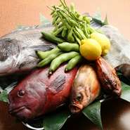 店名の【華肴】は、「華」は一番良い時、また「肴」は美味しいつまみという意味。店名のとおり、旬の素材そのものの味を存分に楽しめるメニューがそろっています。