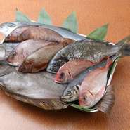 鮮度にとことんこだわり、確かな目で厳選し、毎朝仕入れる旬の魚。刺身や軽く炙ったりした素材の味を生かしたお料理で食べていただきたいです。お酒との相性も抜群ですよ。