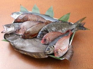 石川県能登から直接仕入れた厳選鮮魚が自慢です