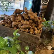 生産量全国一位の高知から産地直送！その量、、、なんと年間約２t！その高知産『かおり生姜』を料理から飲み物までふんだんに使用しております！ご来店の際にはぞんぶんに生姜を楽しんで下さい！No Ginger No Life！
