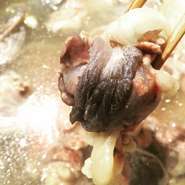 とろとろの良質コラーゲンを既にあの子は摂取しています