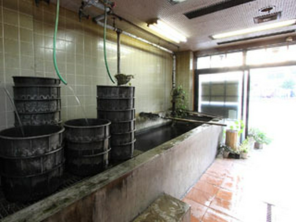 池から直接上げて調理します