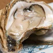 天然能登岩がき＜季節物＞