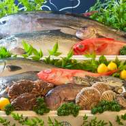 毎朝新鮮な魚介類が目の前の沼津港から届く