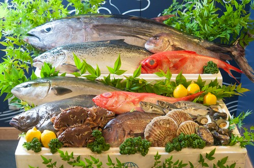 毎朝新鮮な魚介類が目の前の沼津港から届く