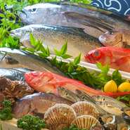 目と鼻の先にある沼津港で毎日、社長自らが選りすぐった魚介が早朝に届きます。例えば、マグロは丸ごと一匹。多忙な日は150～200㎏を仕込みます。ランチにはそれらが並ぶので、ぜひ味わってみてください。
