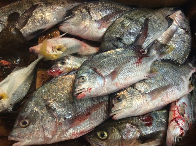 シェフのこだわりあり