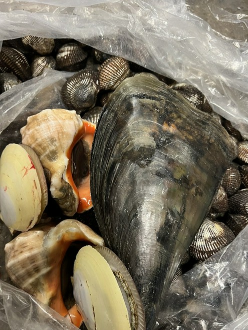 地方の味を楽しめる