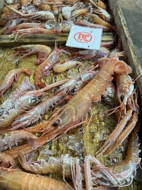 食材にこだわっている