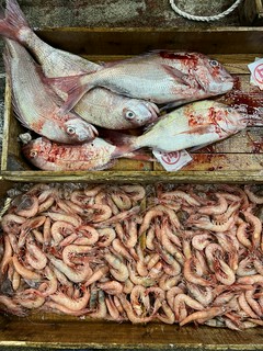 形原、西浦より