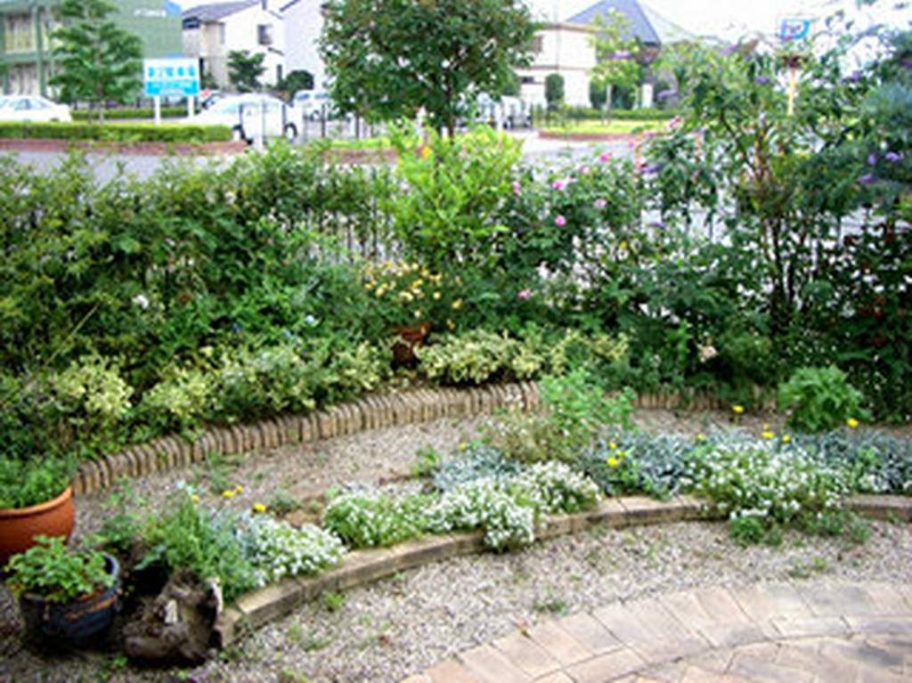 いらっしゃいませ☆