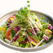 十種類の野菜で作った野菜サラダ