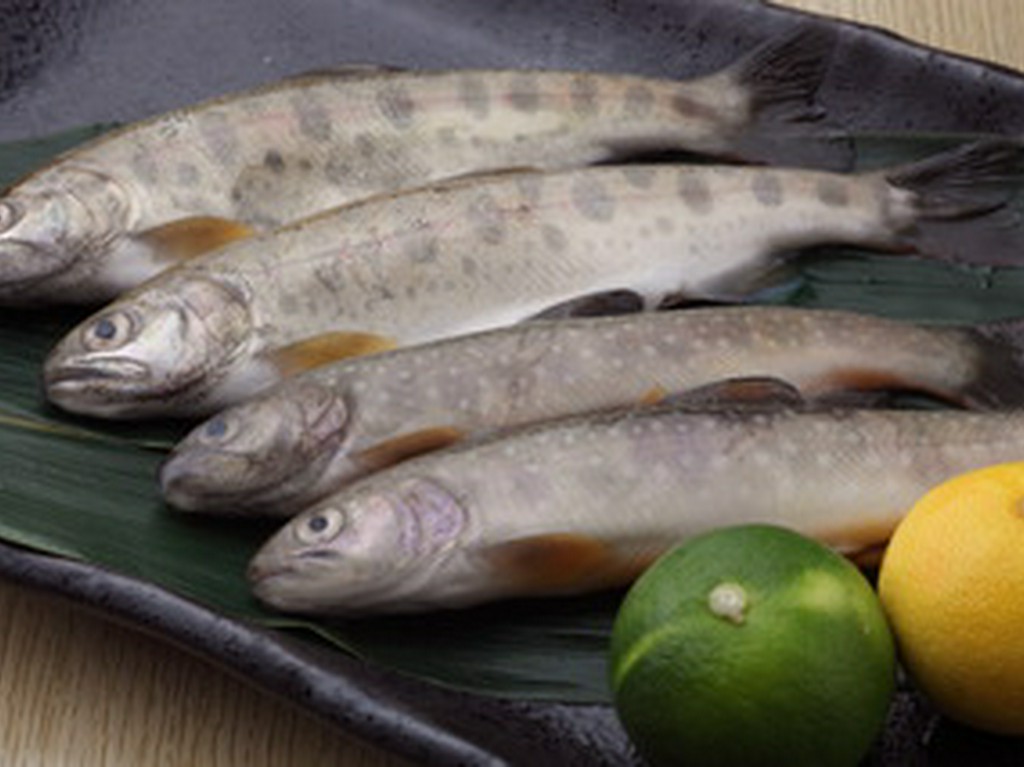 料理人が釣った『ヤマベ』は、丸ごと食べられる唐揚げで！