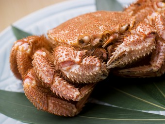 毛蟹姿盛が付いた道産の食材に拘ったコースです 。2名様はお1人9900円、3名様からお1人8800円になります