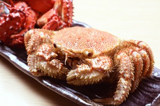 北海道グルメの代名詞！　茹でたての『毛がに』