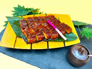 うなぎ蒲焼き