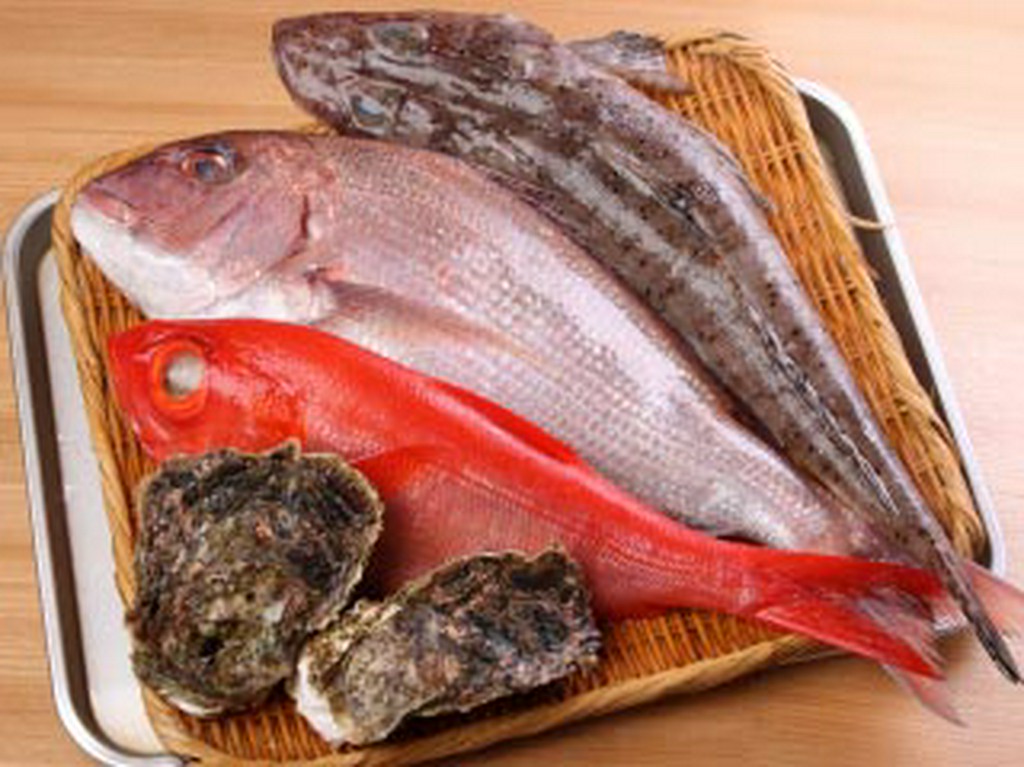 季節の近海地魚等、日替り海替りの料理あり。