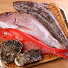 季節の近海地魚等、日替り海替りの料理あり。