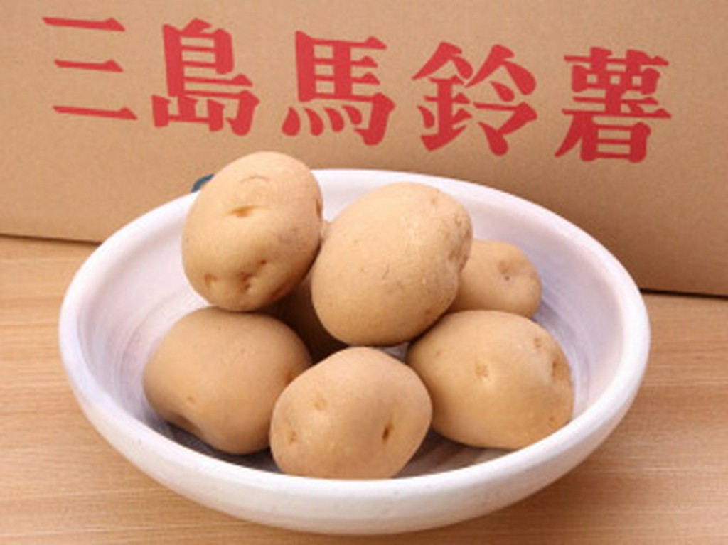 三島近辺野菜もとり入れてご用意させていただいてます。