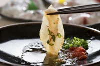 大皿の河豚刺し１品と河豚鍋入りのコース料理（全9品程度）