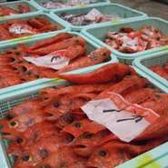 沼津港内に店を構えているので、毎日新鮮の魚介類を皆様に届けています。

