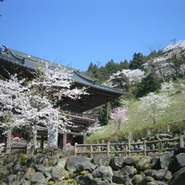 お店から出流山満願寺仁王門の桜を見ながらお食事できます