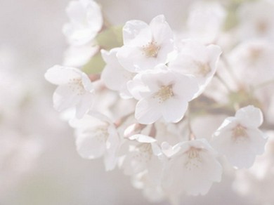 歓送迎会ご予約承ります