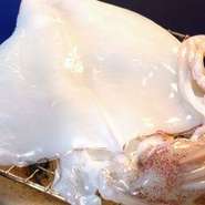 ※画像はイメージ