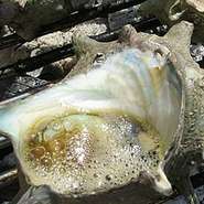 ※画像はイメージ