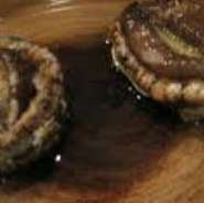 ※画像はイメージ