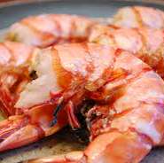 ※画像はイメージ