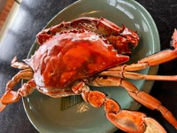 日本酒で2時間酔わせ7時間じっくり焼いた焼き渡り蟹。身はクリーミー。卵はとろとろ。卵は温かいご飯にかけていただく。（仕入により値段変動あり）※予約は1週間前まで