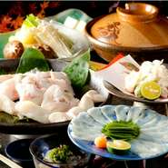 下関直送の蓄養ふぐです。白子入り。