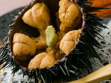 日本の三大珍味に挙げられる『ウニ』※写真は、ガゼウニ