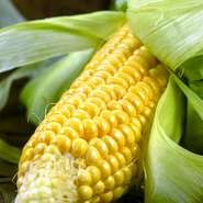 枝川のきびで作った豆腐の天婦羅