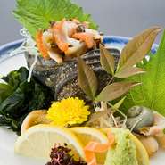 活さざえ　造り・つぼ焼き　100g