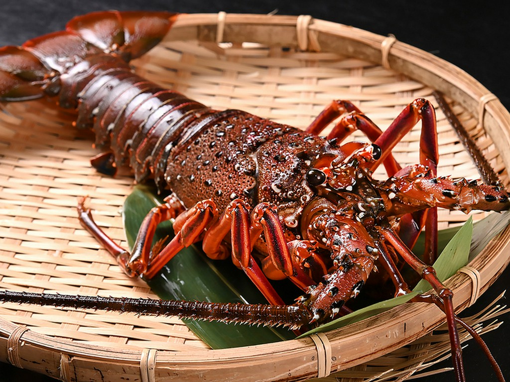 丸ごと一匹を満喫『伊勢海老活造り』