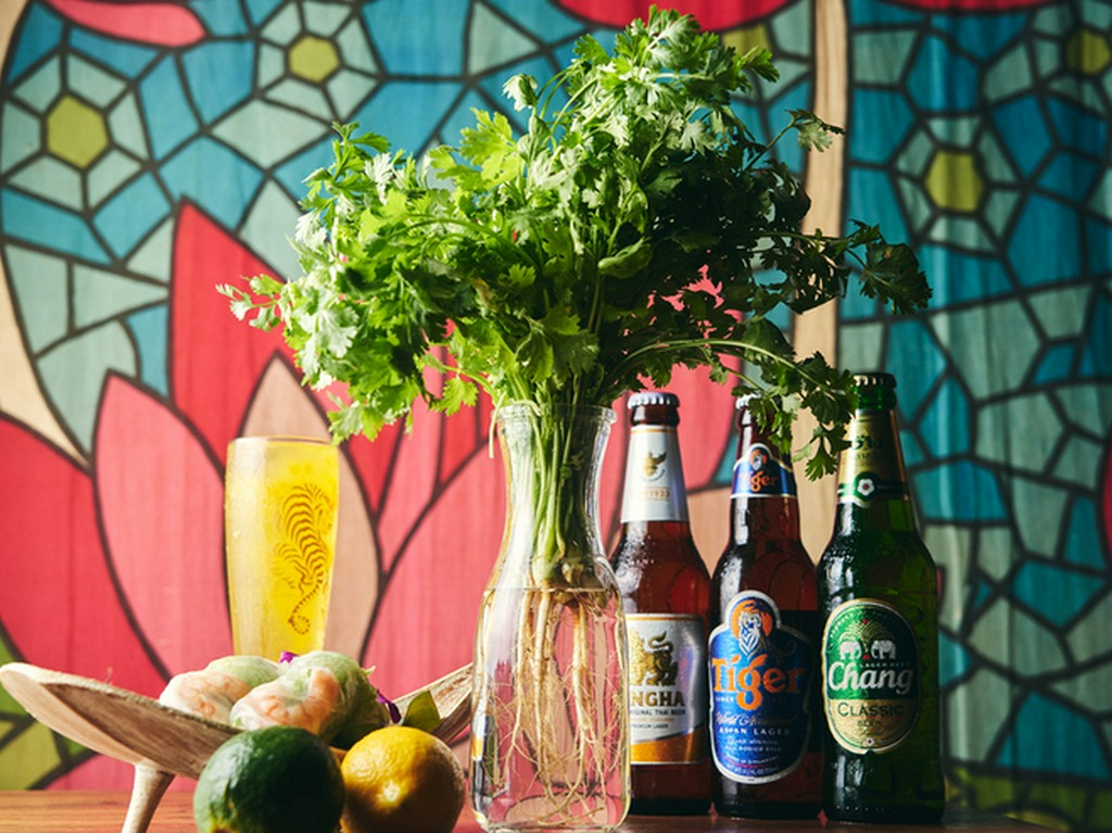 パクチー好きも大満足！契約農家から届く新鮮なパクチーを満喫！