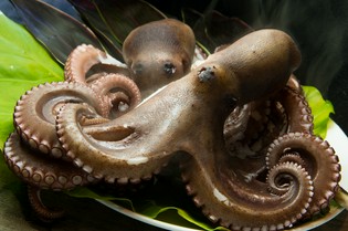 地産地消を目指し、地物の食材をできるかぎり使用しています