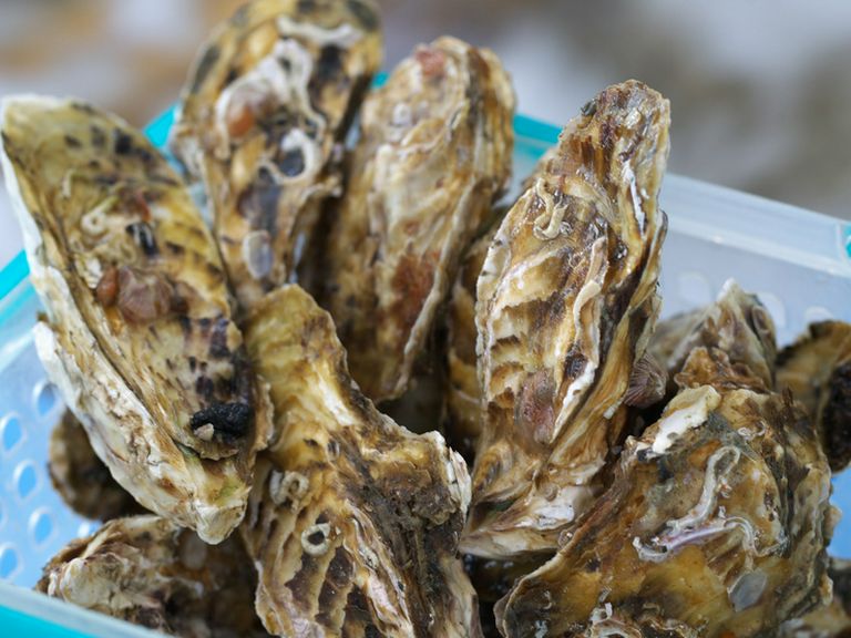 九十九島産・有明産（小長井産）カキ