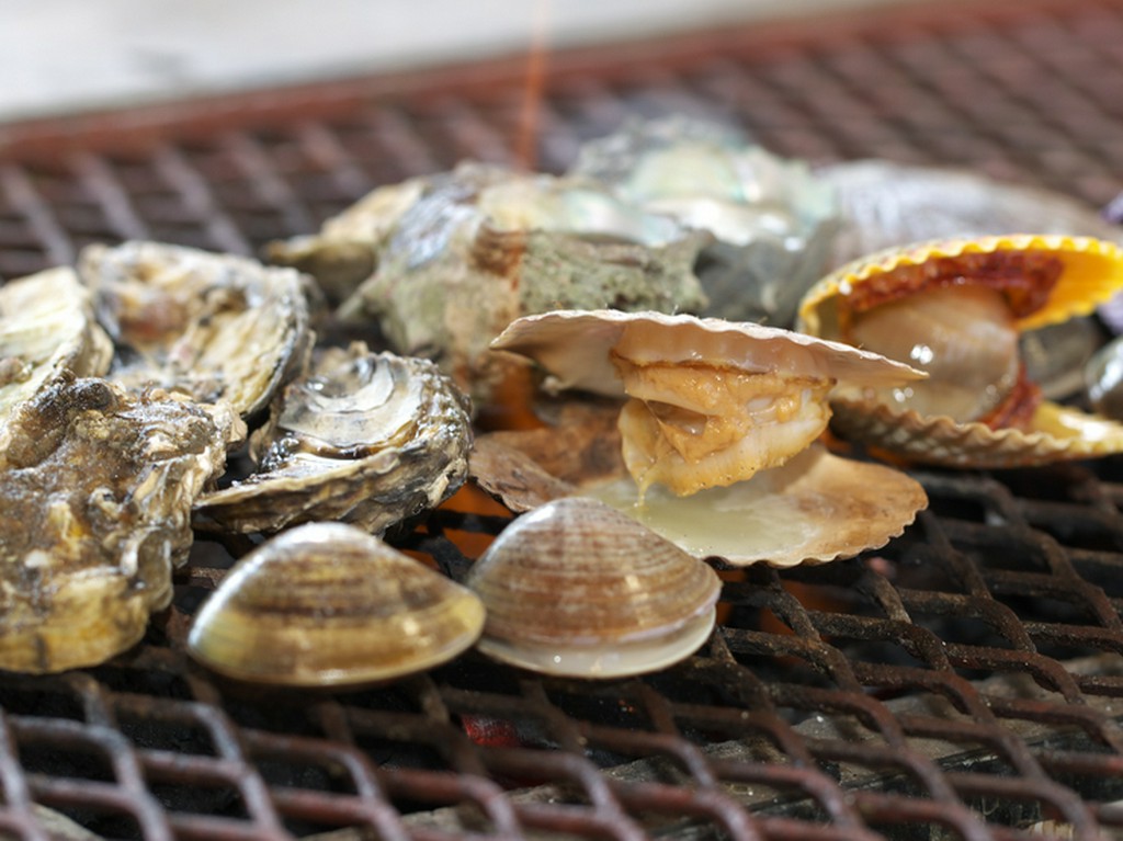 ホタテは殻が開く時がドキドキ!!