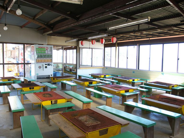 ヒォゥギのカラフルな殻が子供に大人気です!!