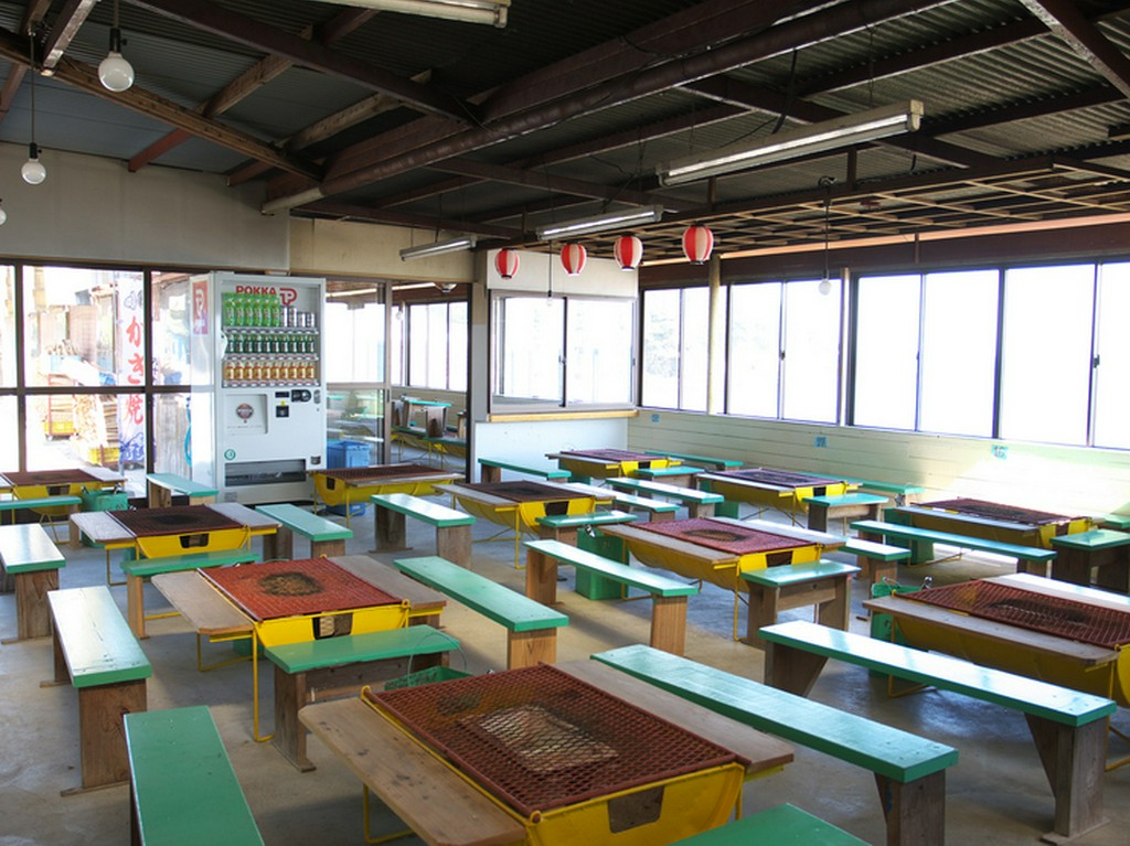 ヒォゥギのカラフルな殻が子供に大人気です!!