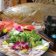 高級魚クエとキンキ両方を味わえる贅沢コース！
(全８品)
・お刺身盛
・海水ウニ
・蟹味噌の茶碗蒸しorお椀
・クエとキンキのしゃぶしゃぶ
・白老牛と野菜の岩塩プレート焼き
・その他
※入荷状況や季節で内容変動有