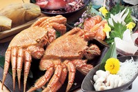 （全7～8品）
旬の海鮮食材を楽しめる料理長の完全おまかせコースです。
その日の仕入れで、厳選した食材を使用します。
食べたい食材がある方は、是非ご相談下さい。