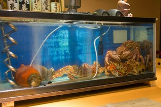 店内の生簀から捌いた鮮魚を召し上がれ