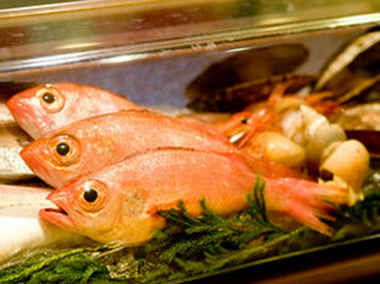 白身魚の王者と呼ばれる「のど黒」