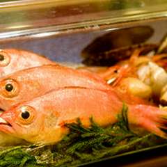 白身魚の王者と呼ばれる「のど黒」